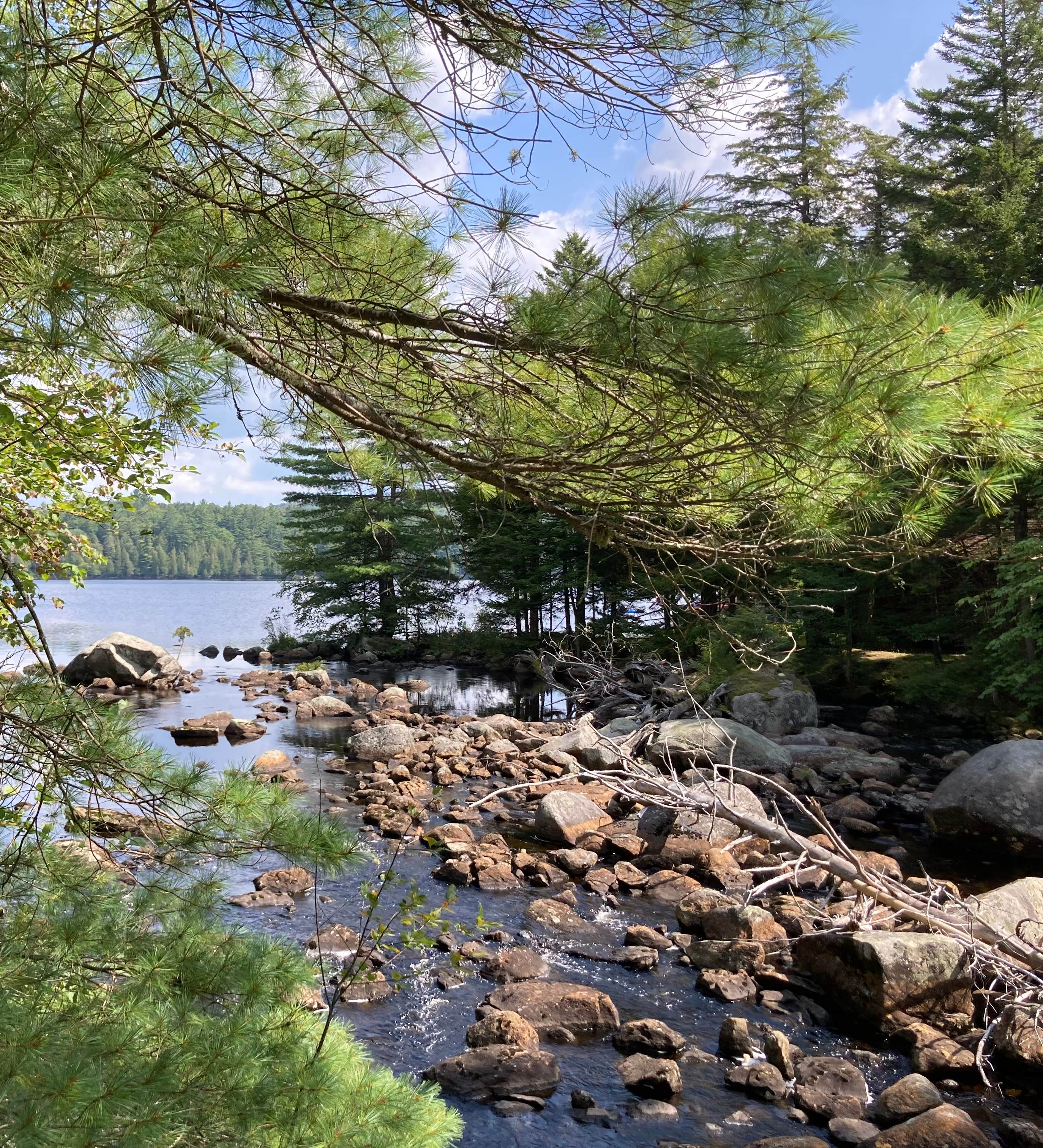 Camper-submitted photo at Sagamore Lake primitive camping, Adirondacks Blue Ridge wilderness near Oswegatchie, NY