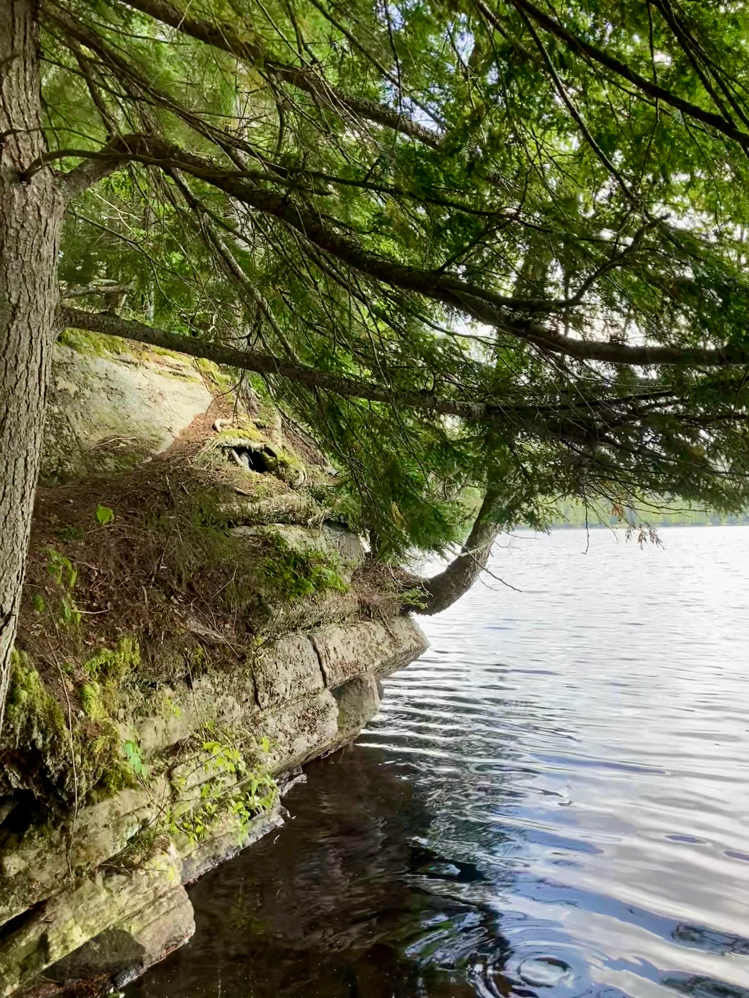Janet R.'s photo of a dispersed camping area at Sagamore Lake primitive camping, Adirondacks Blue Ridge wilderness near Oswegatchie, NY