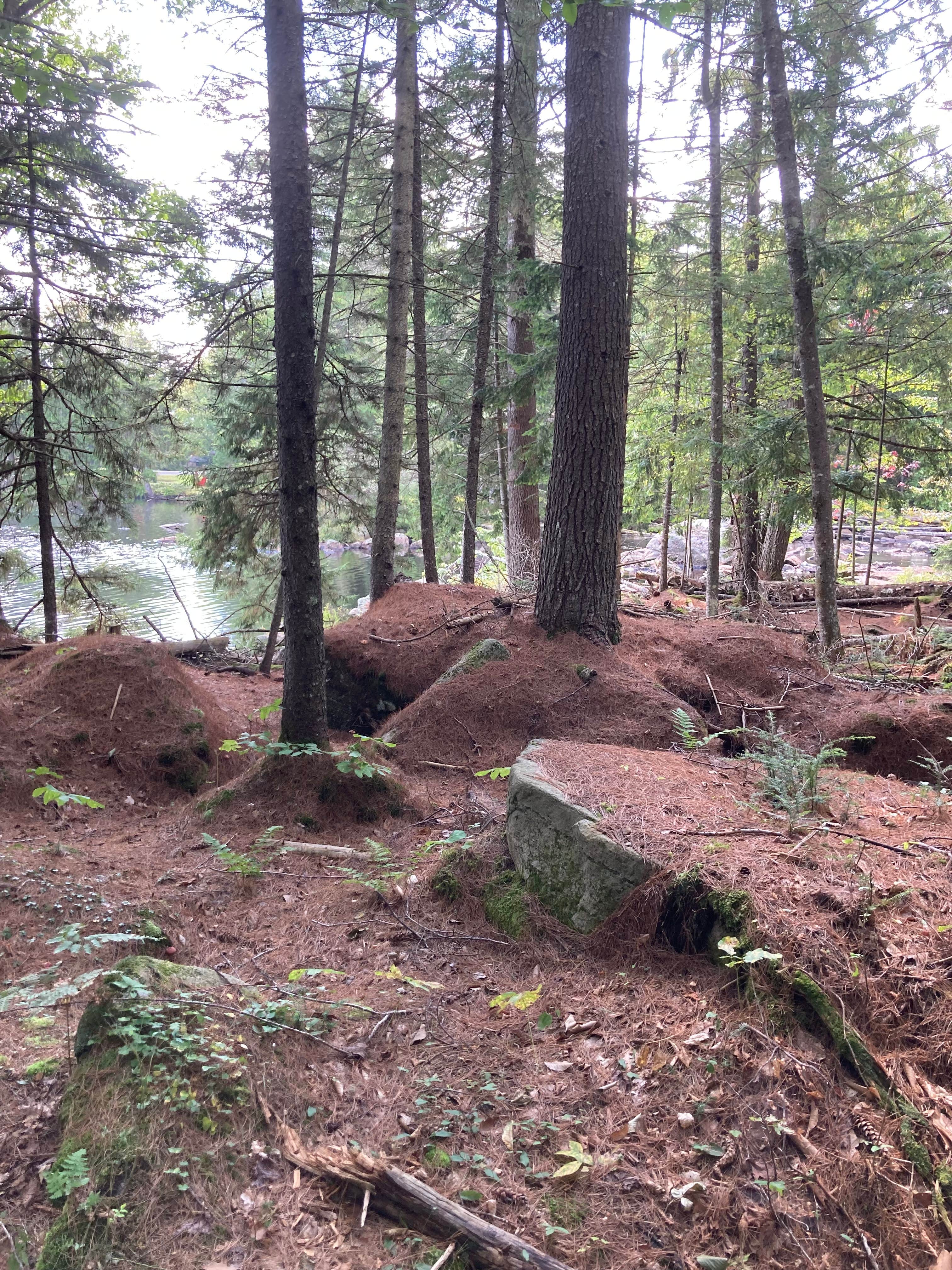 Camper submitted image from Sagamore Lake primitive camping, Adirondacks Blue Ridge wilderness - 5