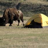 Review photo of Sage Creek Campground by J W., October 4, 2026
