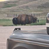 Review photo of Sage Creek Campground by Robert , August 29, 2025