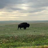 Review photo of Sage Creek Campground by Amy K., May 15, 2025