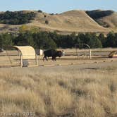 Review photo of Sage Creek Campground by J W., October 4, 2026
