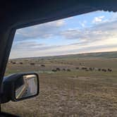 Review photo of Sage Creek Campground by Robert , August 29, 2025