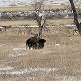 Review photo of Sage Creek Campground by Alex P., December 20, 2024