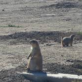 Review photo of Sage Creek Campground by J W., October 4, 2026