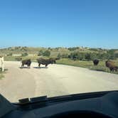 Review photo of Sage Creek Campground by Justin O., August 2, 2026