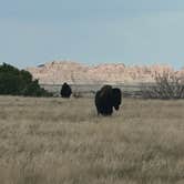 Review photo of Sage Creek Campground by Will S., May 24, 2025