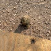 Review photo of Sage Creek Campground by Claire G., August 9, 2026