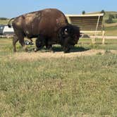 Review photo of Sage Creek Campground by carla R., July 12, 2024