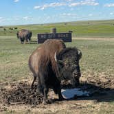 Review photo of Sage Creek Campground by Alex D., June 21, 2024