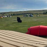 Review photo of Sage Creek Campground by Alex D., June 21, 2024