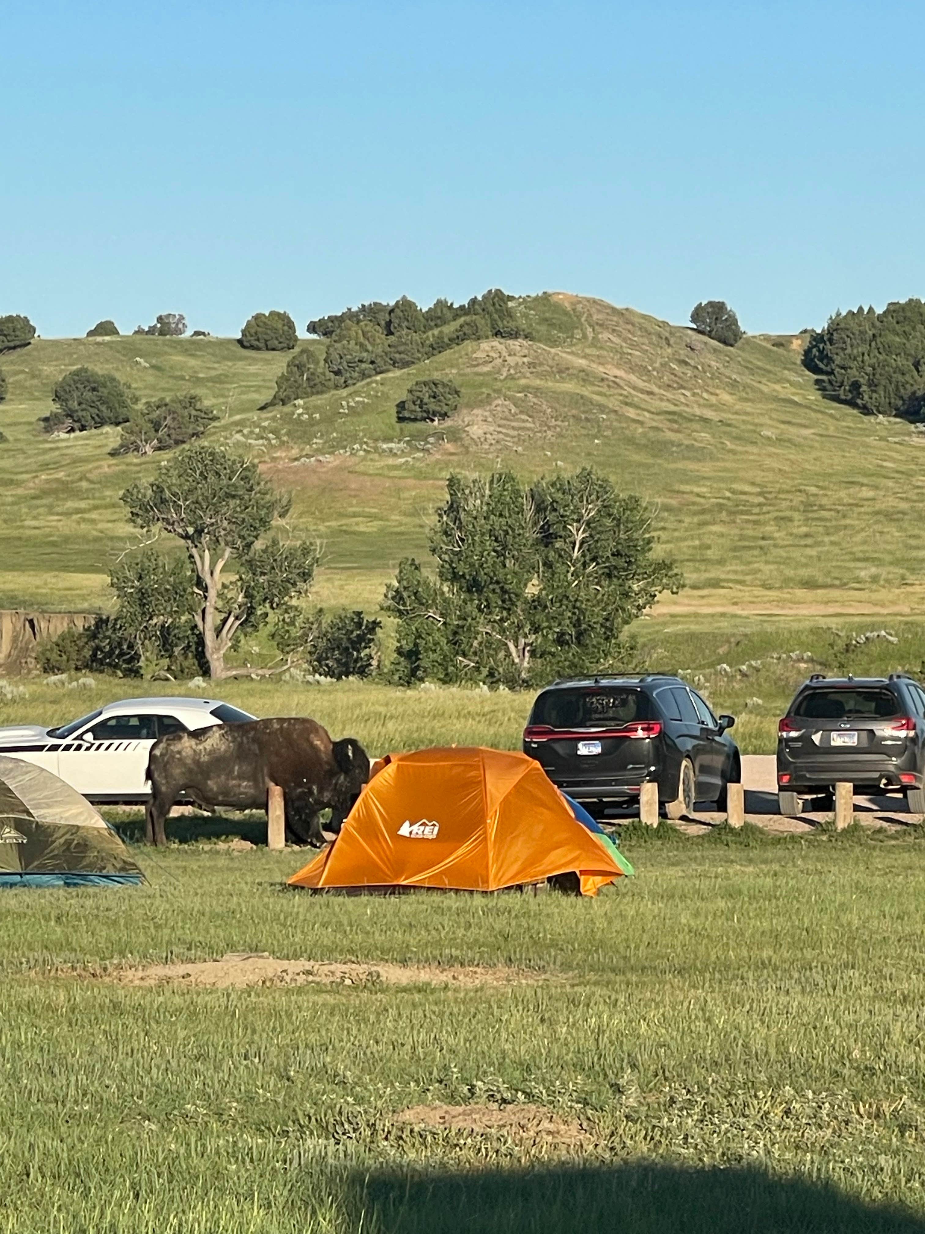 Alex D.'s photo at Sage Creek Campground near Interior, SD