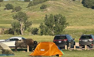 Alex D.'s photo at Sage Creek Campground near Wall, SD