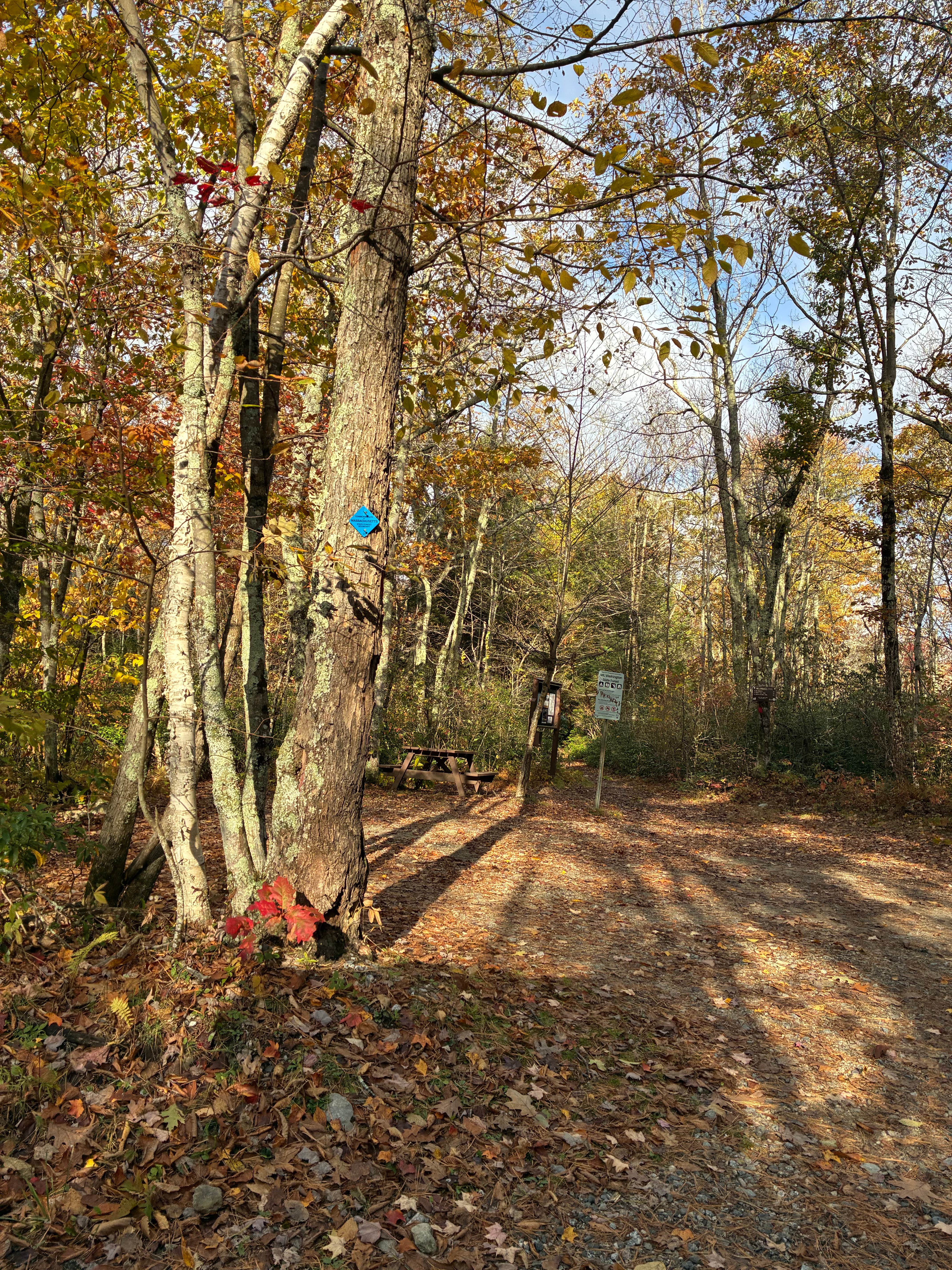 Camper-submitted photo at Sage's Revine near Glenham, NY