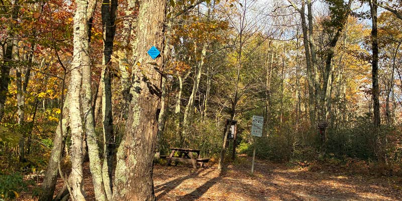 Camper submitted image from Sage's Revine