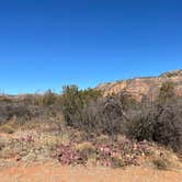 Review photo of Sagebrush Campground — Palo Duro Canyon State Park by Jill C., January 3, 2026