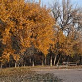 Review photo of Sagebrush — Glendo State Park by johny R., October 29, 2025