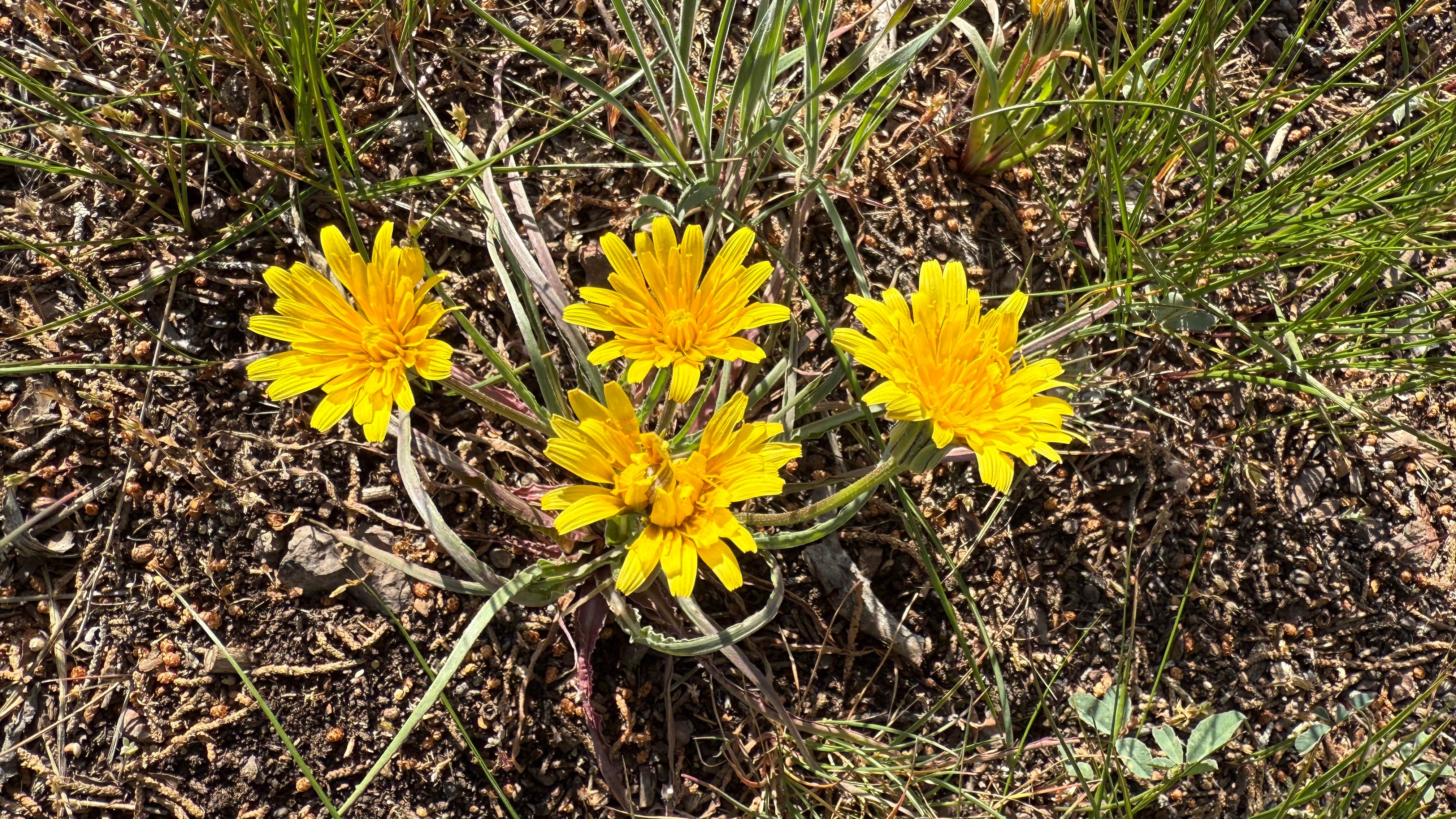 Camper-submitted photo at Sagehen Hill Road near Seneca, OR