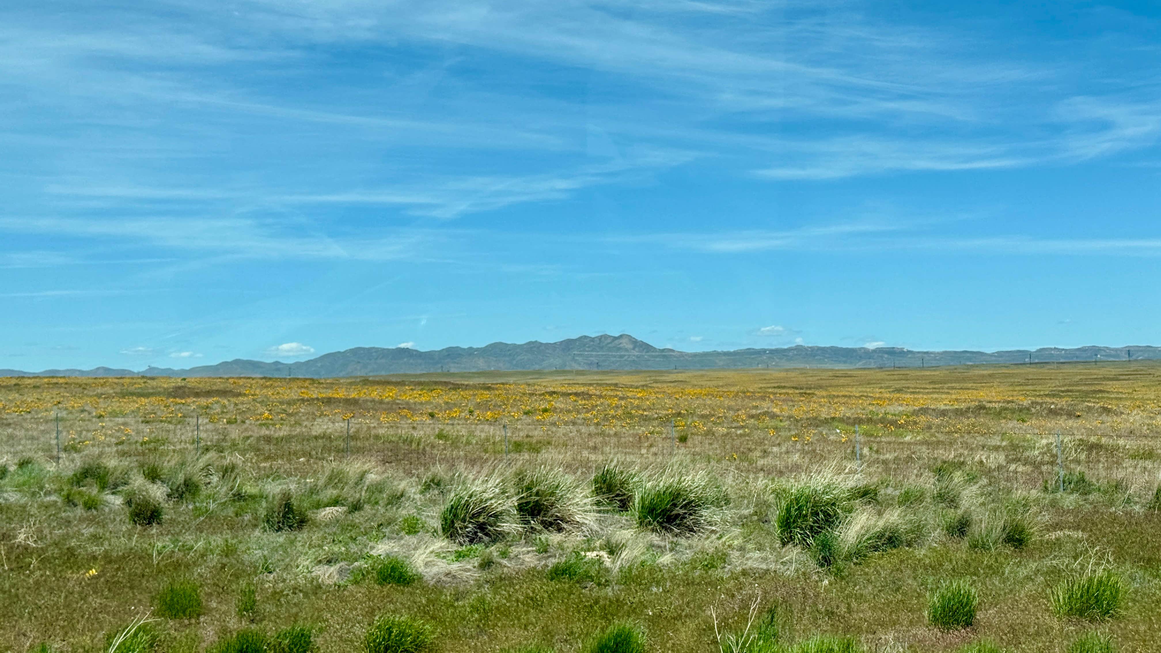 Camper-submitted photo at Sagehen Hill Road near Seneca, OR
