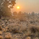 Review photo of Sagehen Rest Area by Erin G., August 11, 2026
