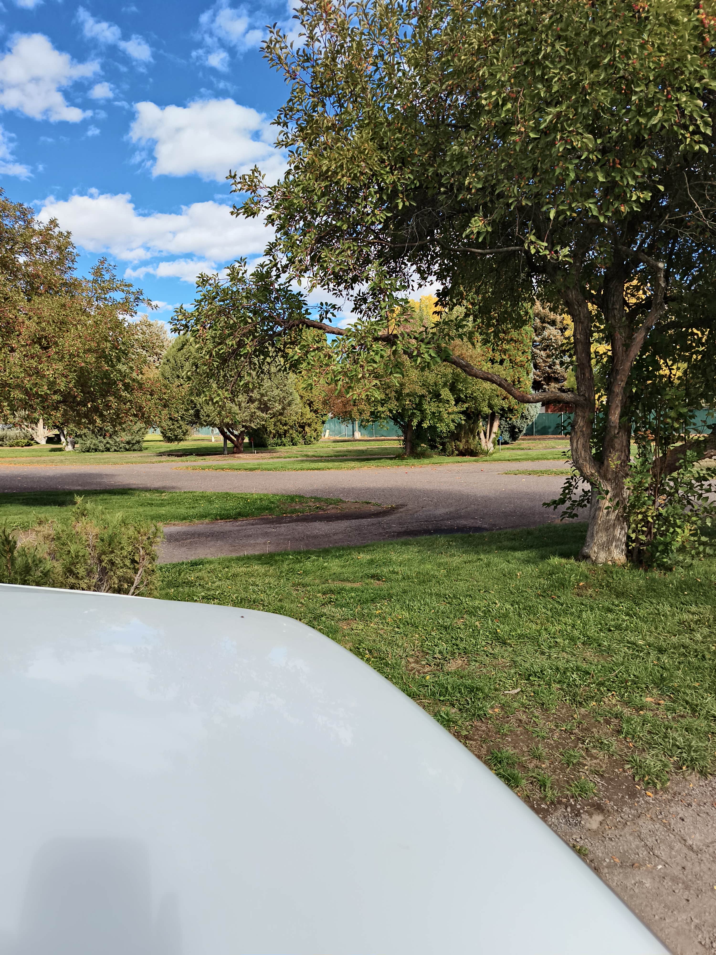 Camper-submitted photo at Saguaro RV Park at Cactus Petes Resort Casino near Oakley, ID