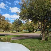 Review photo of Saguaro RV Park at Cactus Petes Resort Casino by Andy S., October 2, 2025