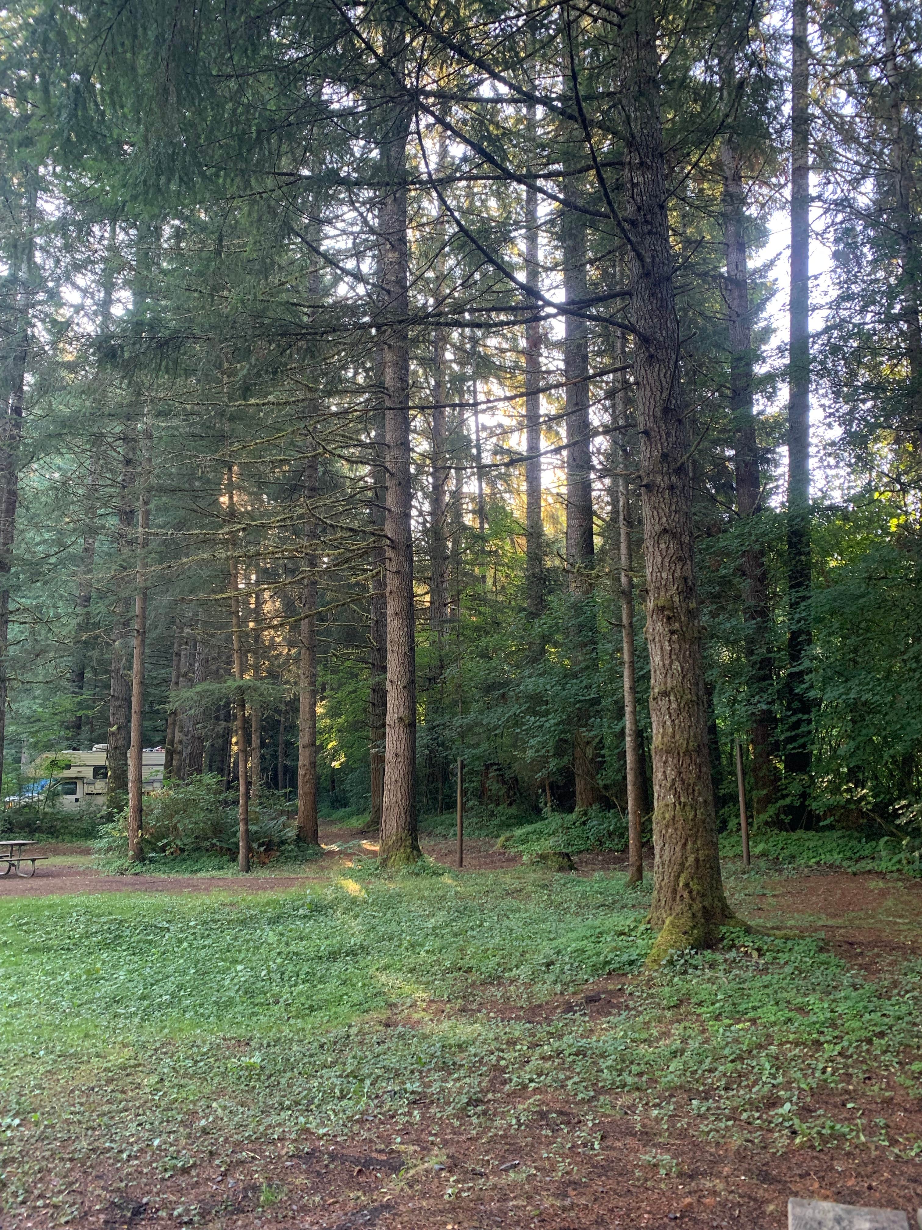 Camper-submitted photo at Sahara Creek DNR Horse Camp near Ashford, WA