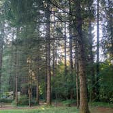 Review photo of Sahara Creek DNR Horse Camp by Callie S., August 8, 2025