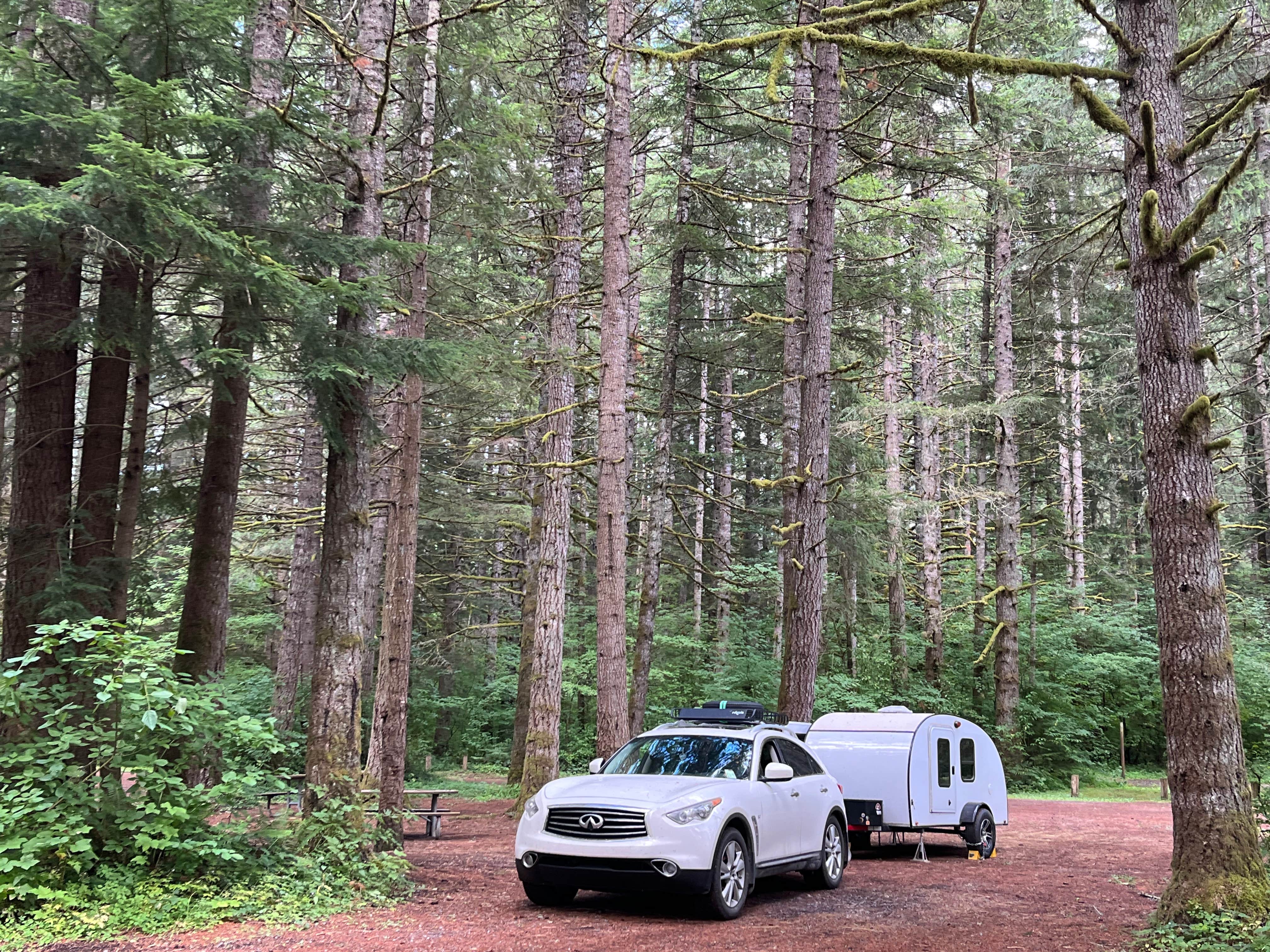 Camper-submitted photo at Sahara Creek DNR Horse Camp near Ashford, WA