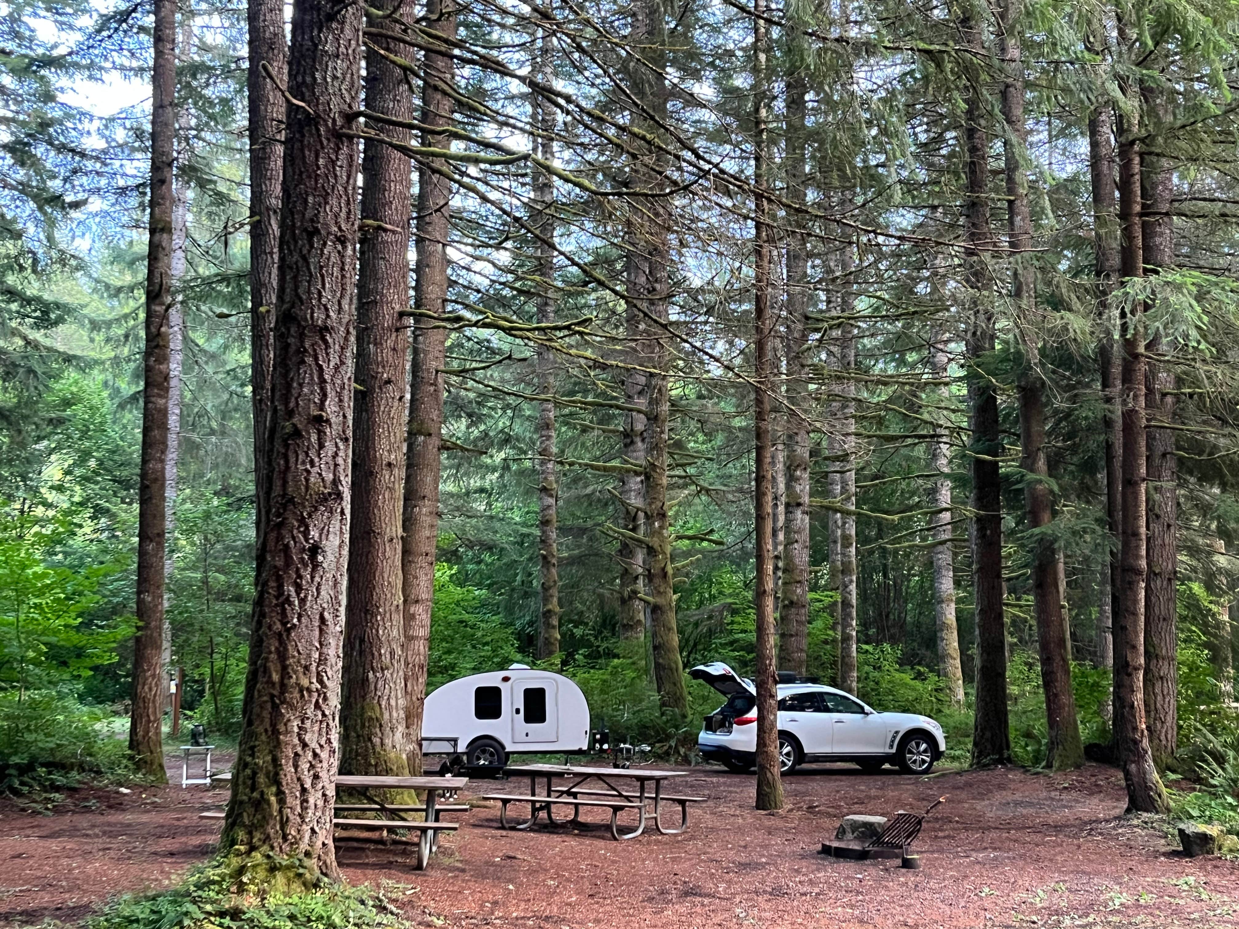 Amy K.'s photo at Sahara Creek DNR Horse Camp near Elbe, WA