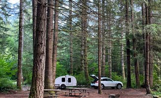 Amy K.'s photo at Sahara Creek DNR Horse Camp near Elbe, WA