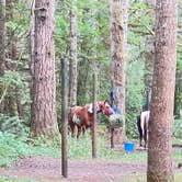 Review photo of Sahara Creek DNR Horse Camp by Lainey P., August 16, 2026