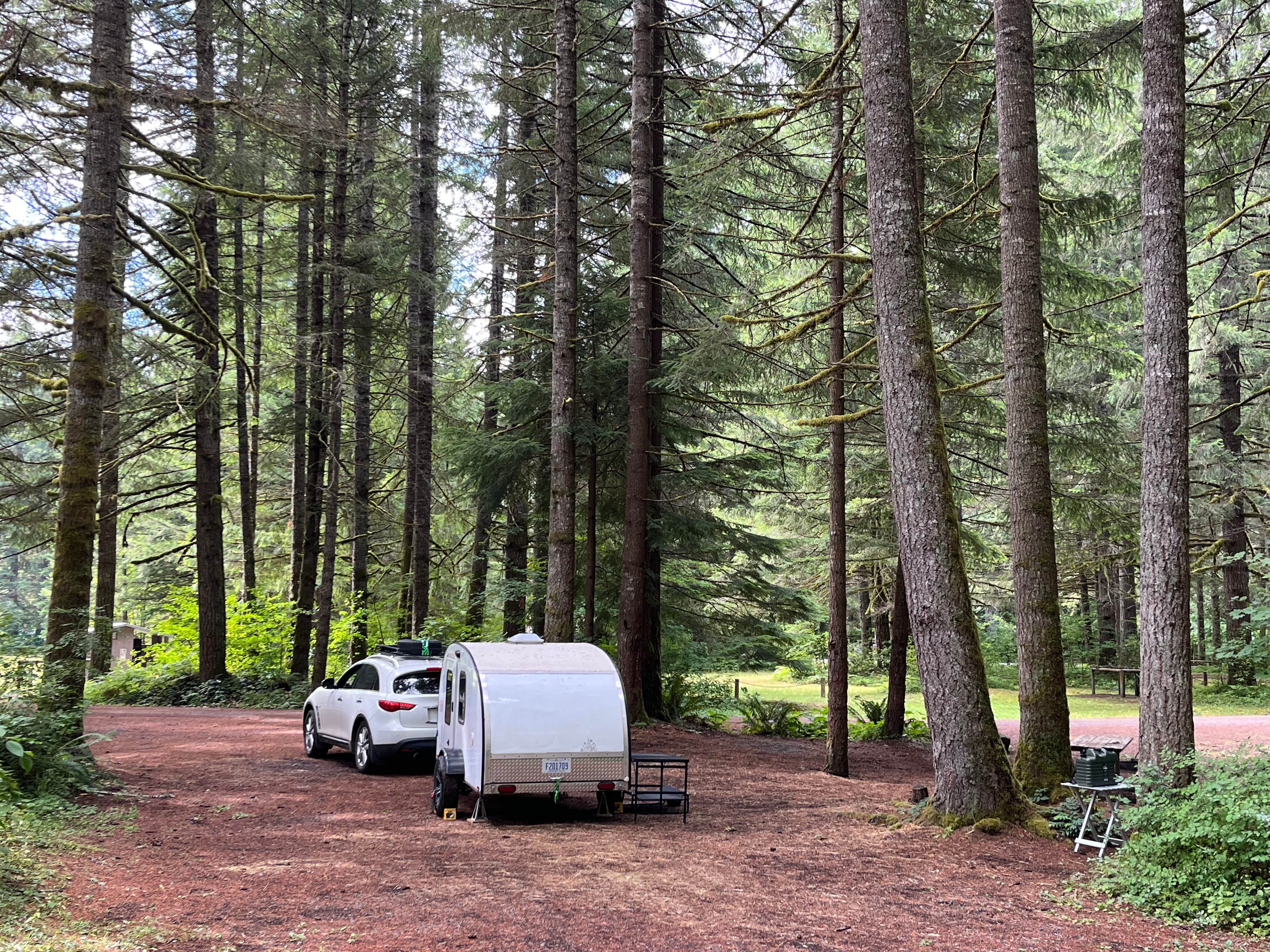 Camper-submitted photo at Sahara Creek DNR Horse Camp near Ashford, WA