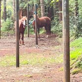 Review photo of Sahara Creek DNR Horse Camp by Lainey P., August 16, 2026