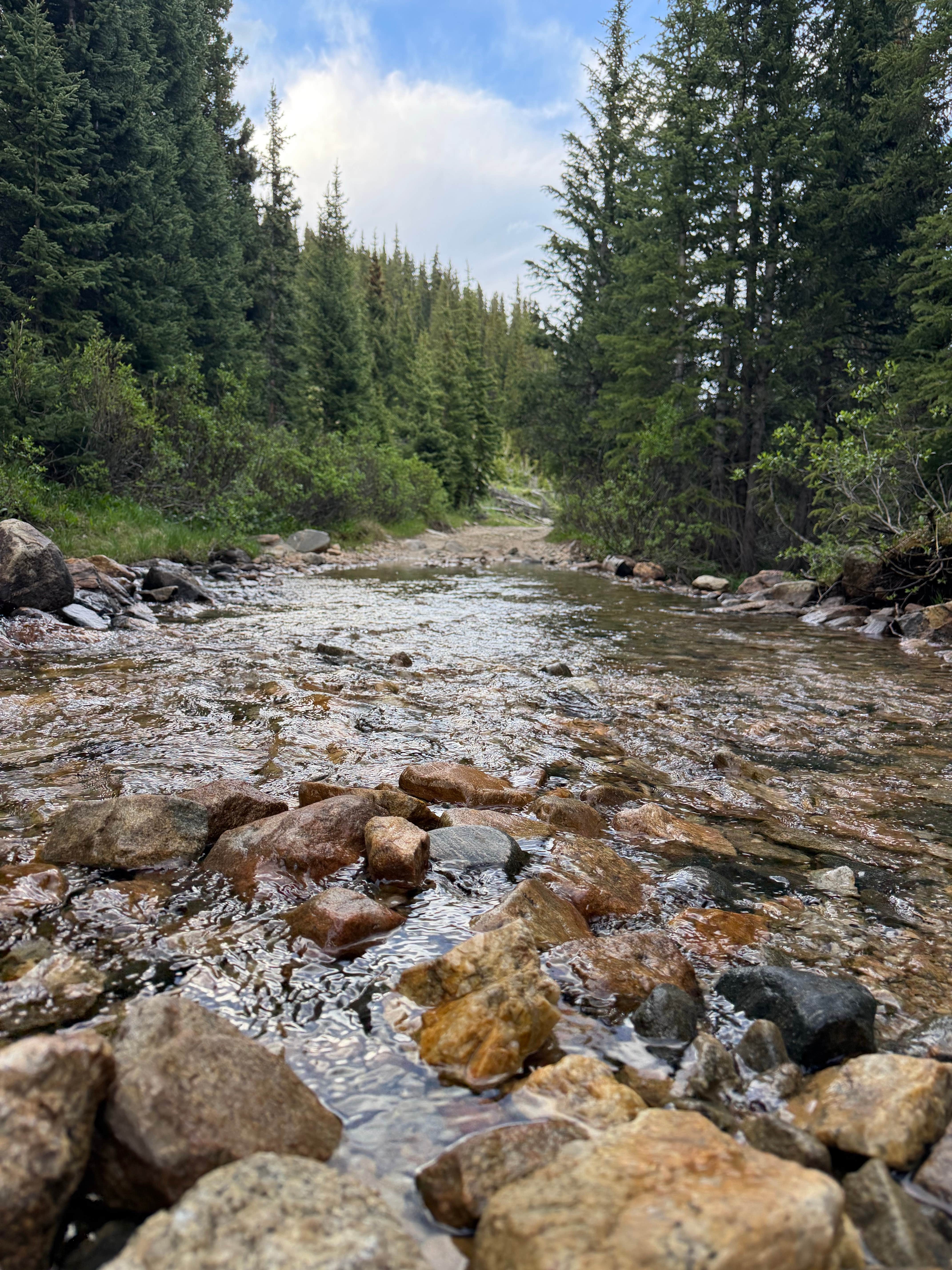 Camper-submitted photo at Saints John Trail Roadside Campsites near Montezuma, CO
