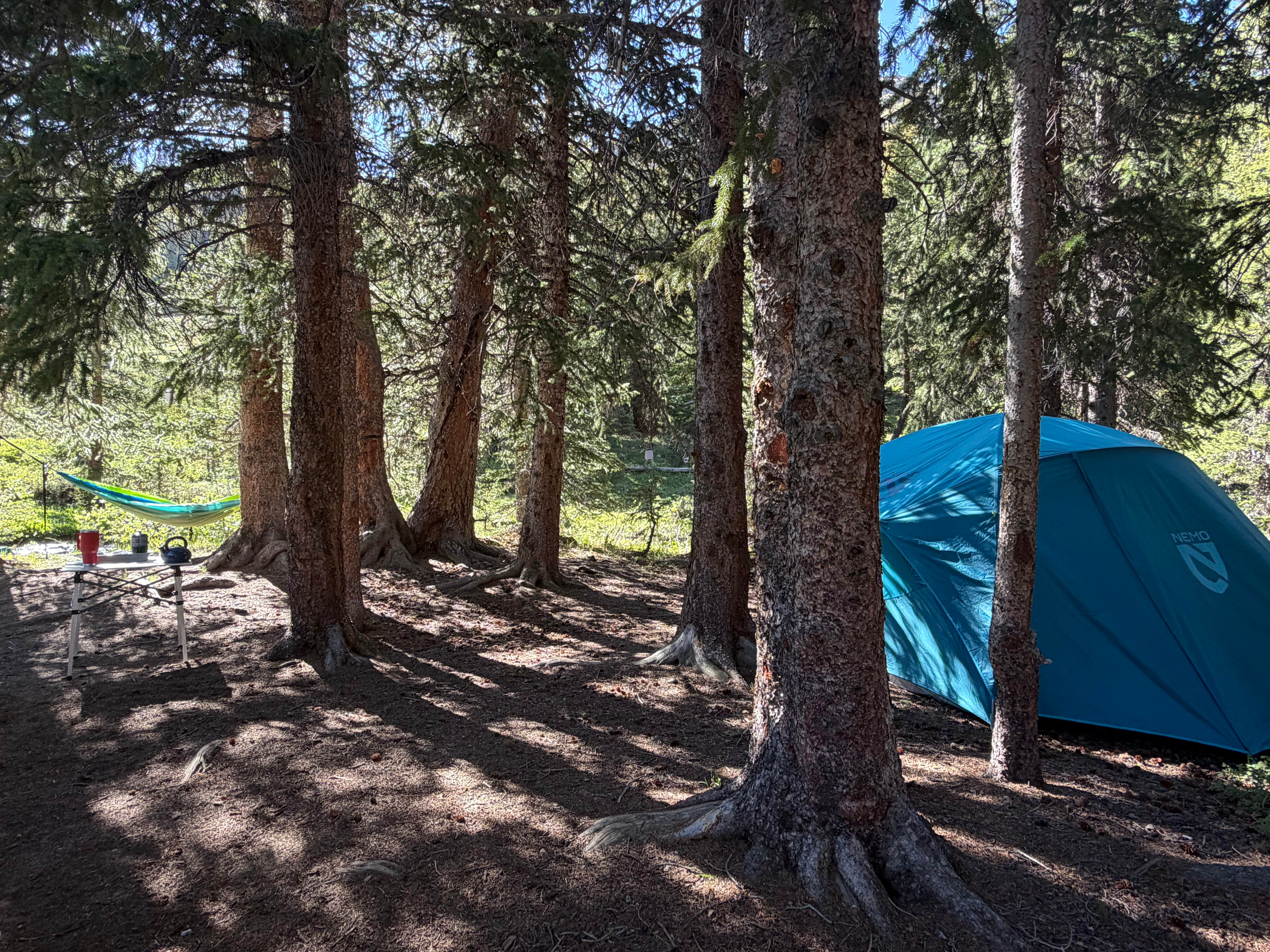 Camper-submitted photo at Saints John Trail Roadside Campsites near Montezuma, CO