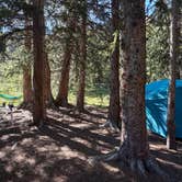 Review photo of Saints John Trail Roadside Campsites by Liesl Y., June 25, 2026