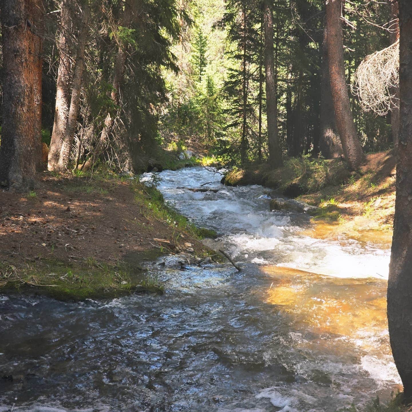 Camper-submitted photo at Saints John Trail Roadside Campsites near Grant, CO