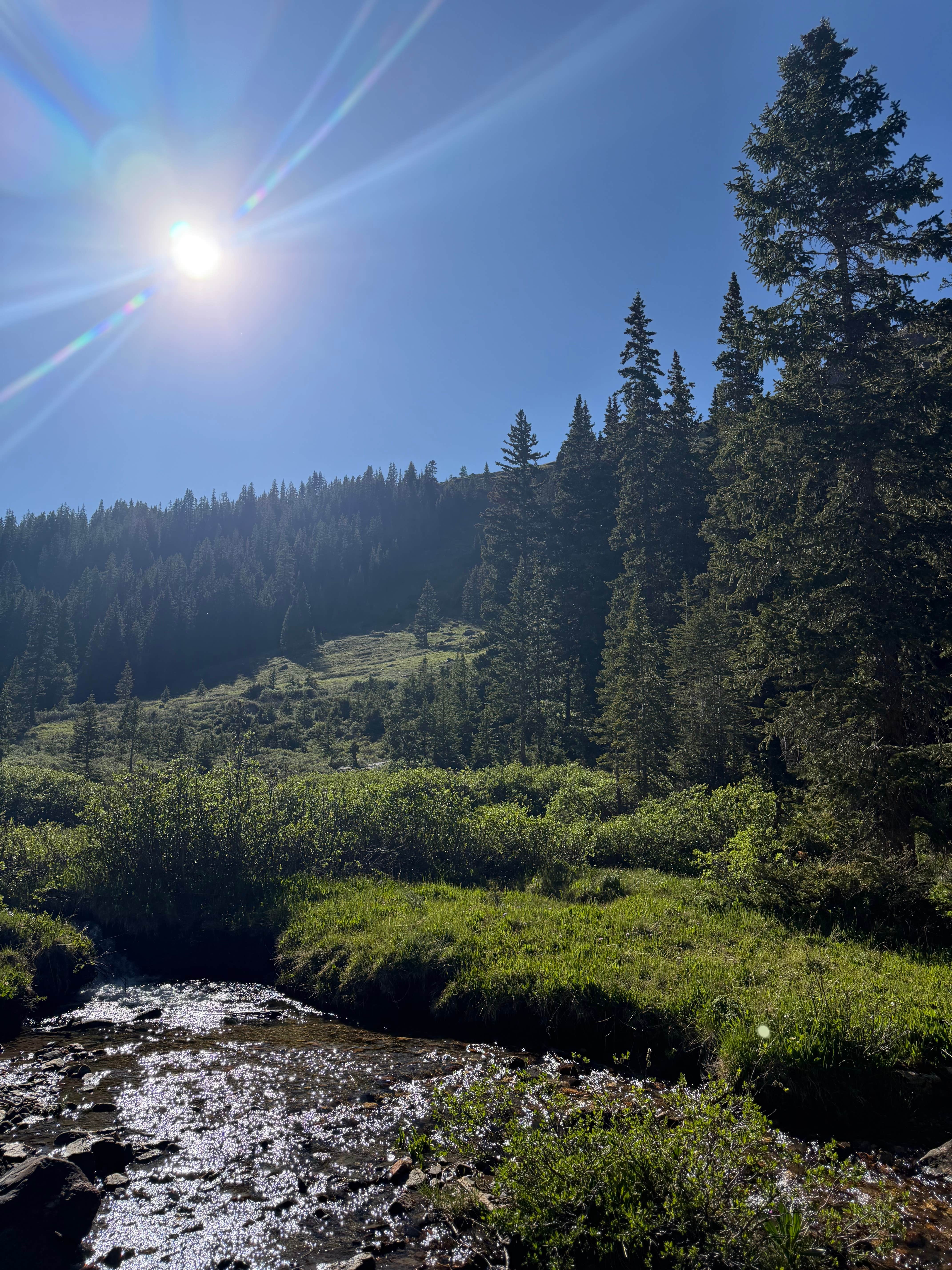 Saints John Trail Roadside Campsites