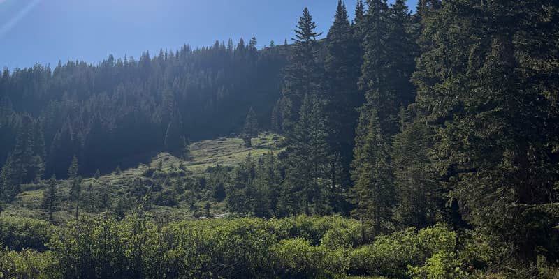 Camper submitted image from Saints John Trail Roadside Campsites