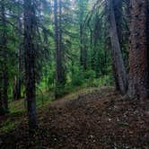 Review photo of Saints John Trail Roadside Campsites by Roslyn P., June 22, 2025