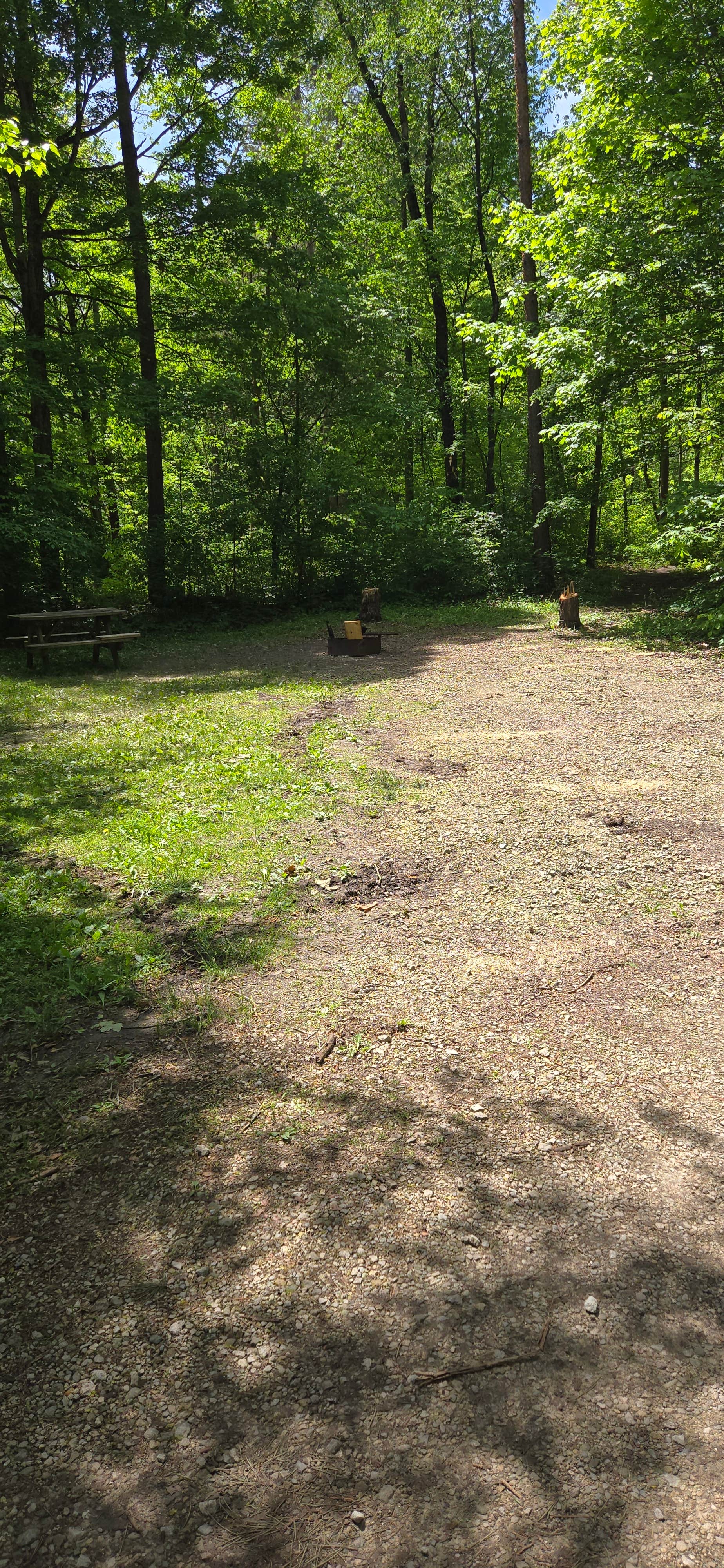 Camper-submitted photo at Salamonie River State Forest near Wabash, IN
