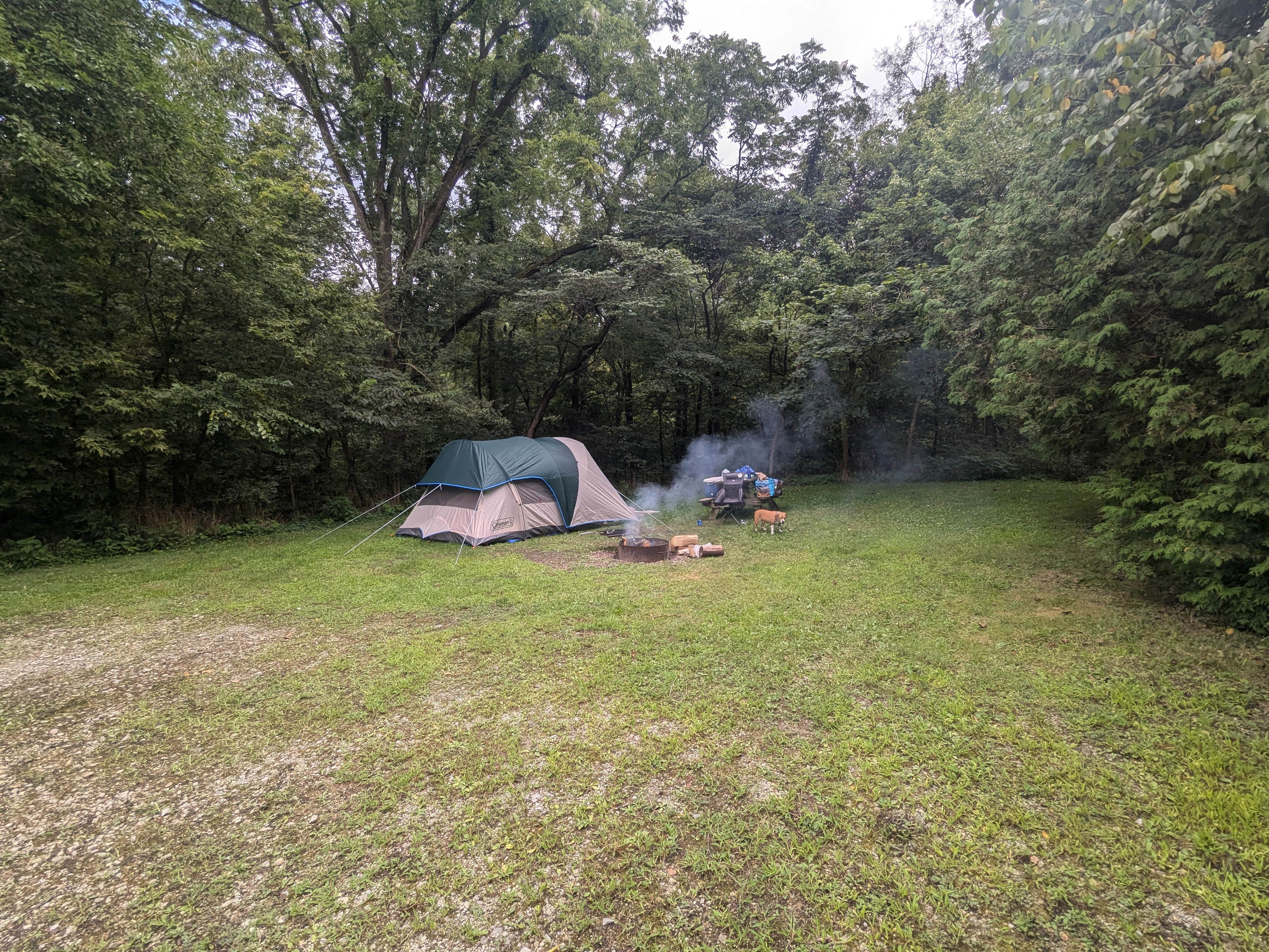 Camper submitted image from Salamonie River State Forest - 1