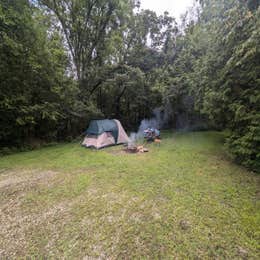 Salamonie River State Forest