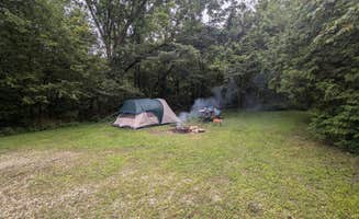 Fern B.'s photo at Salamonie River State Forest near Wabash, IN