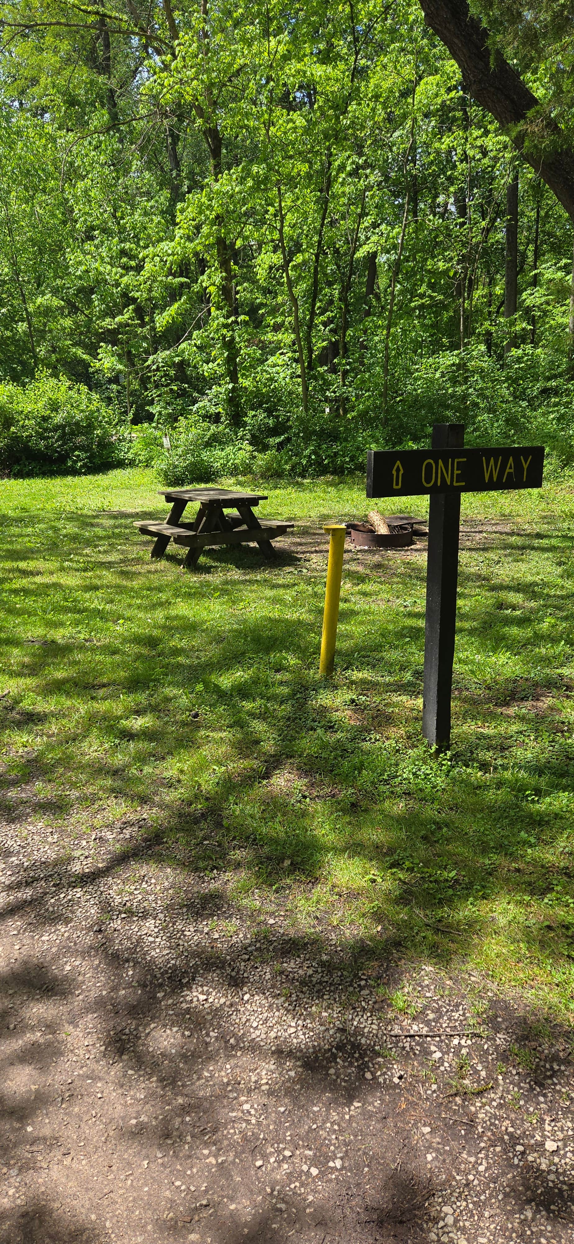 Camper-submitted photo at Salamonie River State Forest near Wabash, IN