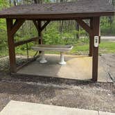 Review photo of Salamonie River State Forest by Geoffrey F., April 26, 2026