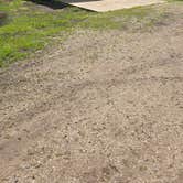 Review photo of Salamonie River State Forest by Susan W., May 28, 2026