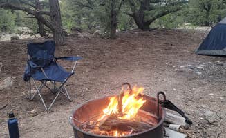 Molly C.'s photo of a dispersed camping area at Salida BLM Land near Hillside, CO